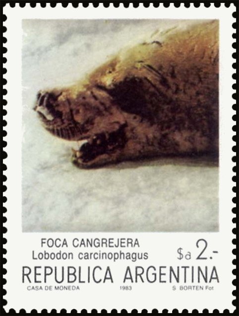 Flight Allegory, Aircrafts