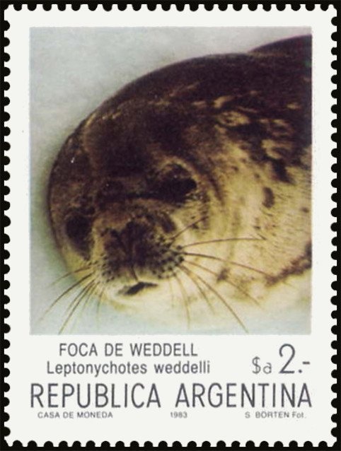 José Francisco de San Martin (1778-1850)