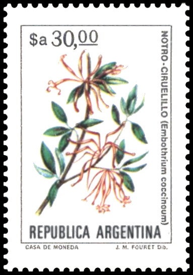 José Francisco de San Martín (1778-1850)