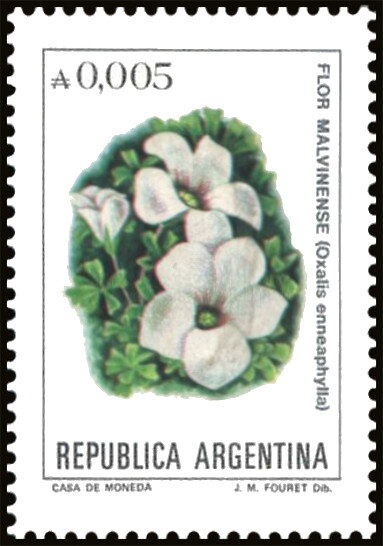 Allegory - “Buenos Aires – Agosto de 1921”