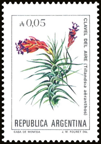 José Francisco de San Martín (1778-1850) - Offset