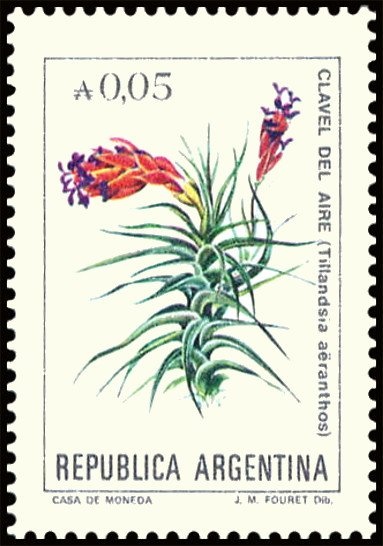 José Francisco de San Martín (1778-1850)