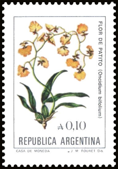 Cabildo de Buenos Aires