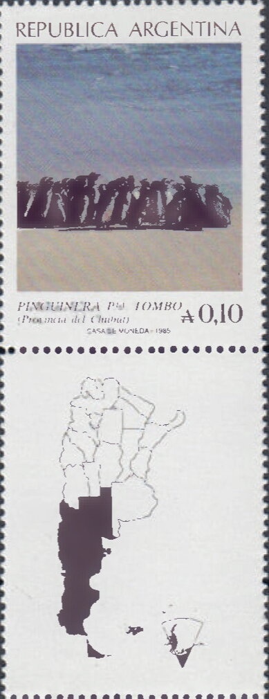 Flor Malvinense (Oxalis enneaphylla) - Fluo