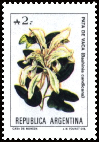 José Francisco de San Martín (1778-1850), ovpt. “M.A.”