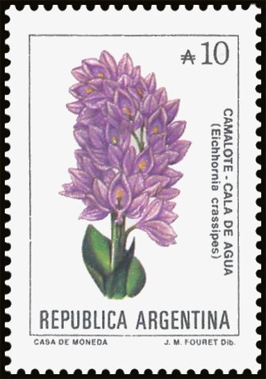 1st Death Anniversary of Franklin D. Roosevelt (1882-1945)