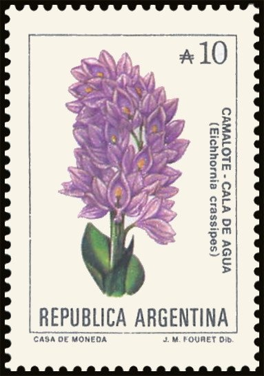 José Francisco de San Martín (1778-1850)