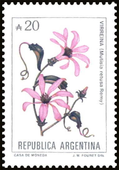 Yellow-headed Caracara (Milvago chimachima), overprinted