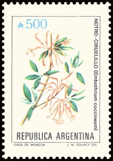 José Francisco de San Martín (1778-1850), ovpt. “M.G.”