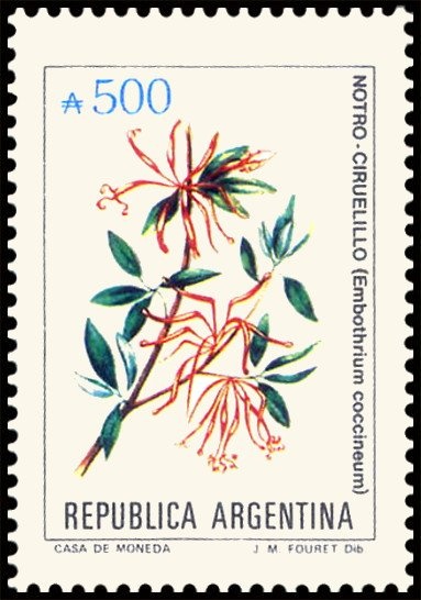 José Francisco de San Martín (1778-1850), ovpt. “M.I.”