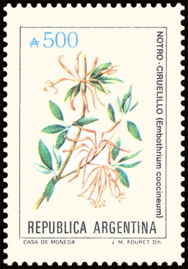 José Francisco de San Martin (1778-1850), ovpt. "M.M."