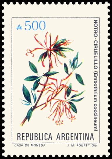 Allegory - “República Argentina”