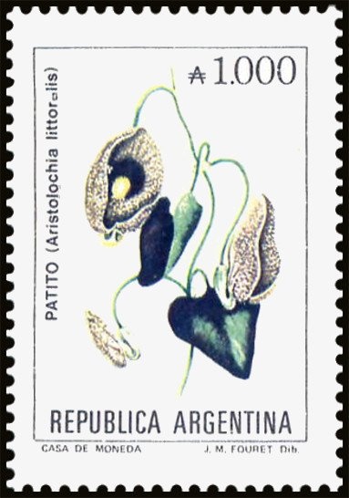 Domingo Faustino Sarmiento (1811-1888)