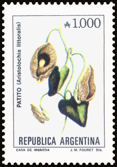 Bernardino Rivadavia (1780~1845)