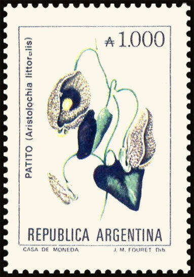 Buenos Aires - Tango 3