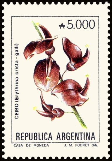 Mallard (Anas platyrhynchos)