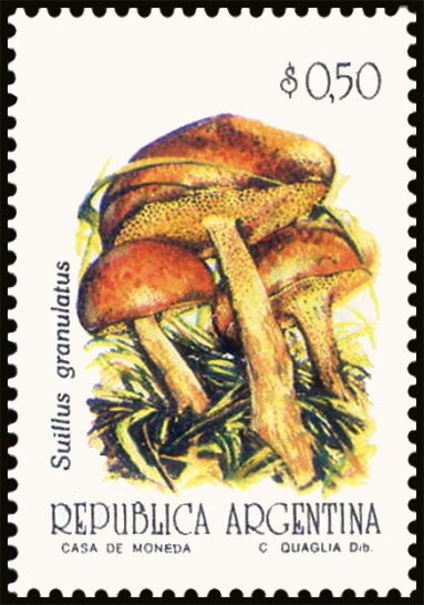 Agricultural workman, ovpt. “M.I.”