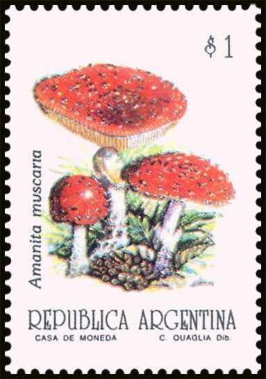 José Francisco de San Martin (1778-1850)