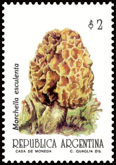 Eva Perón (1919-1952)