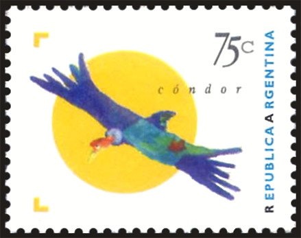 Andean Condor (Vuktur gryphus)