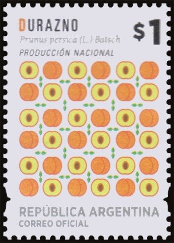 Birds | Common issues | Animals (Fauna)