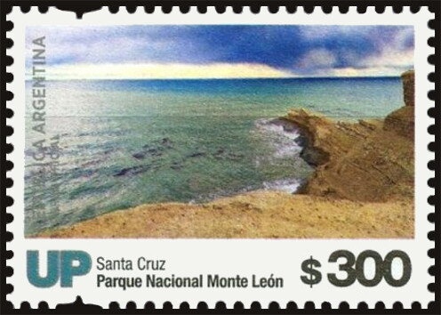 Jacaranda-Tarco (Jacaranda mimosifolia)