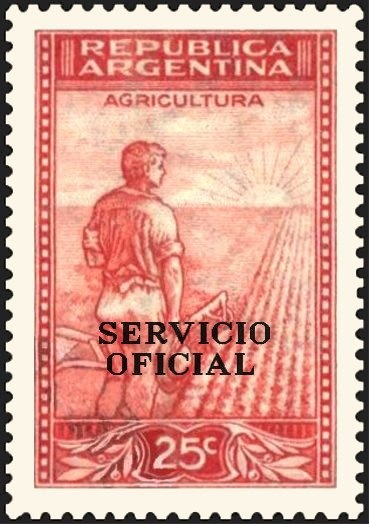 Ceibo (Erythrina crista-galli) - Fluo