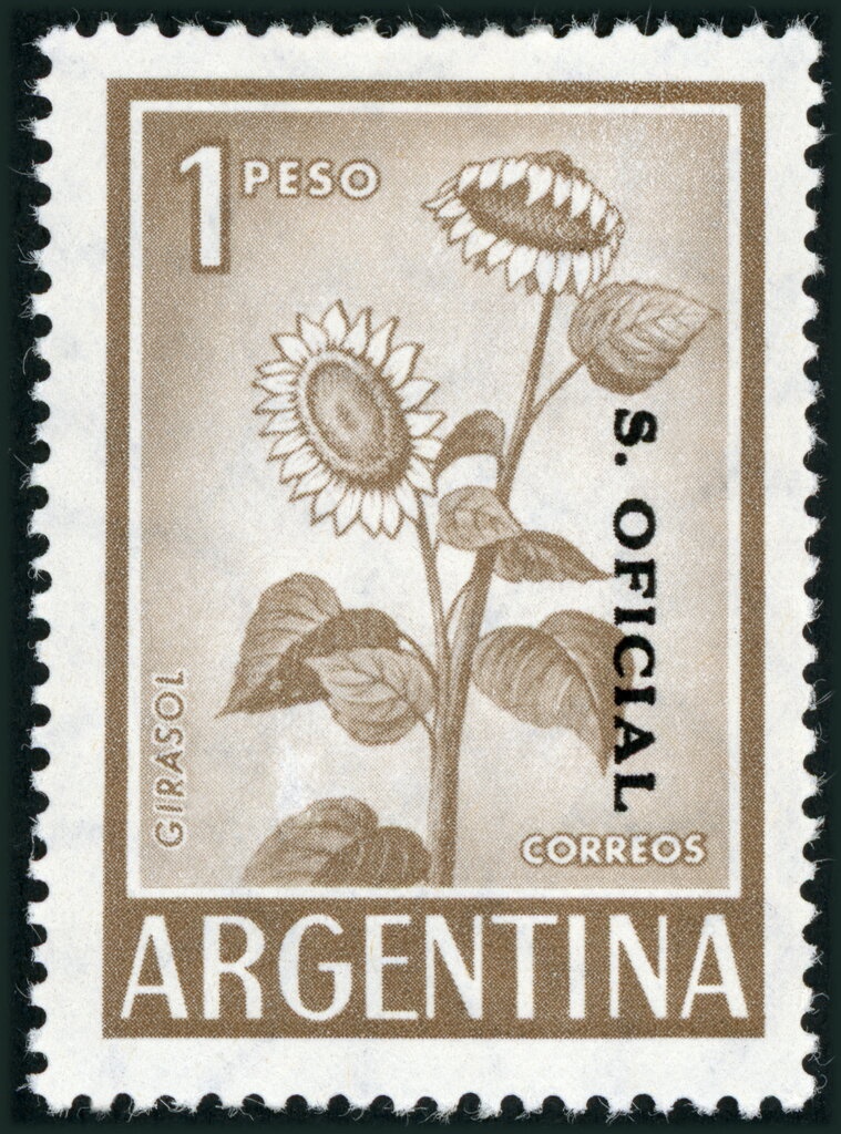 Chapel of Rio Grande Museum, Tierra del Fuego