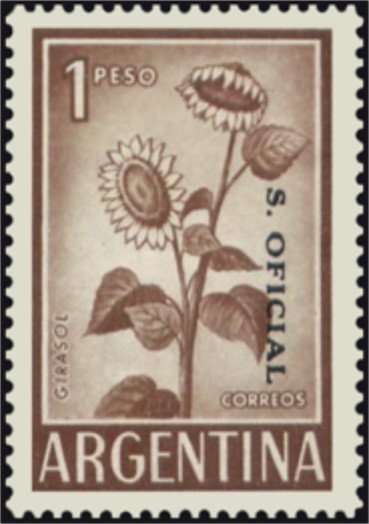 Recoleta Buenos Aires