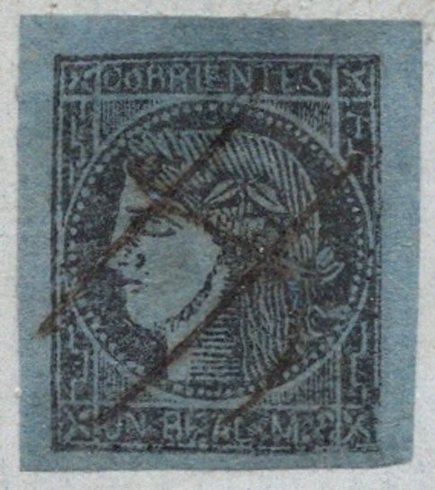 Red-winged Tinamou (Rhynchotus rufescens)