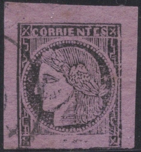 Mburucuyá (Passiflora coerulea) - Fluo