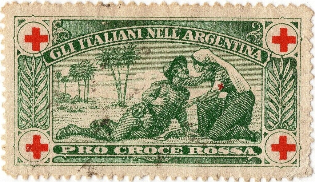 Ring-necked duck (Aythya collaris)