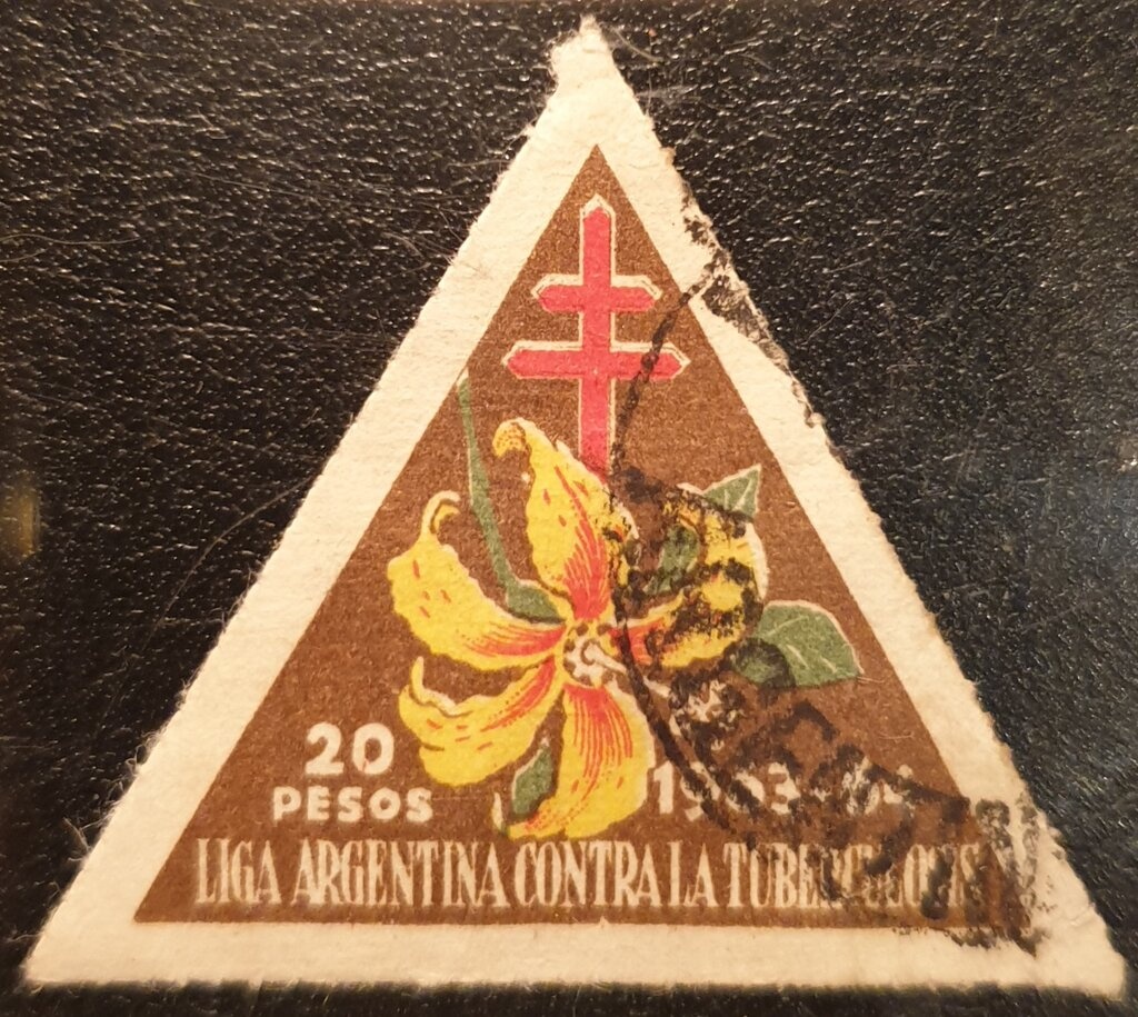 Campanilla (Ipomoea purpurea)