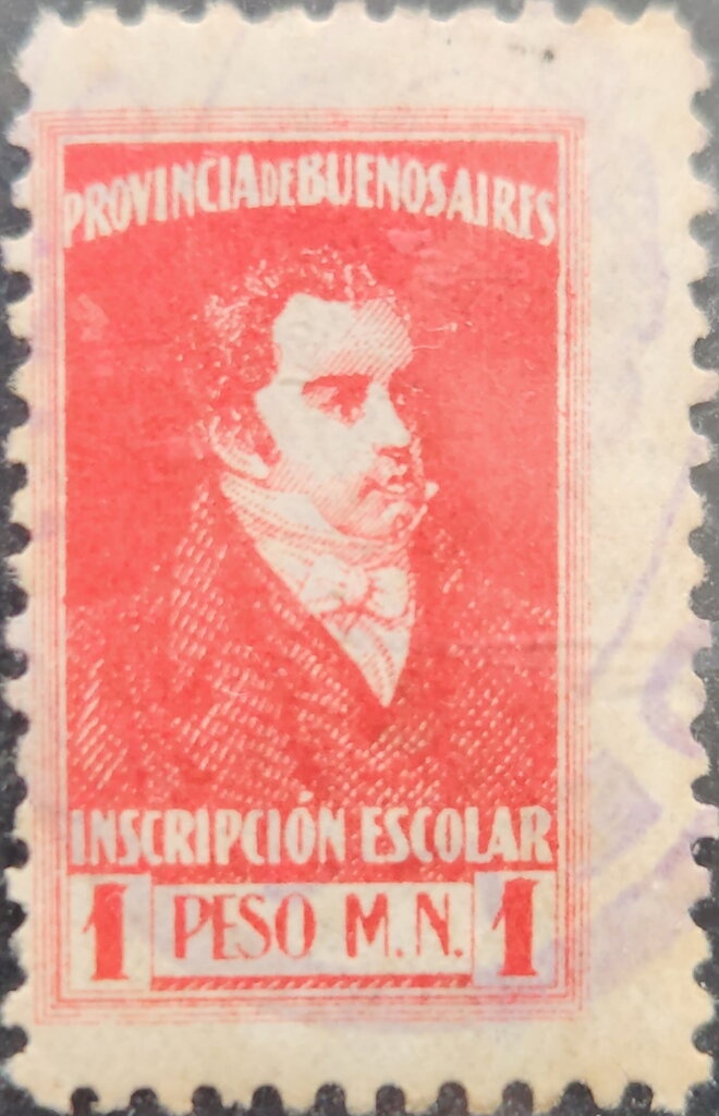 Armenian Viper (Vipera raddei)