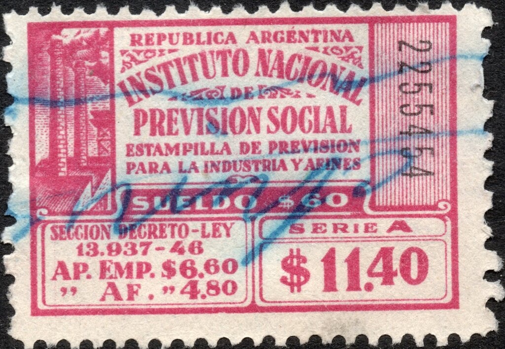 Lesser scaup (Aythya affinis)