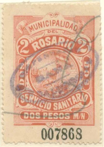 Flor Malvinense (Oxalis enneaphylla) - Fluo