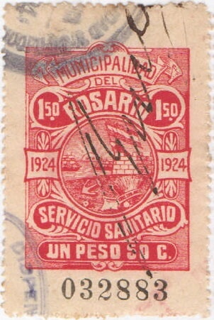 Mallard (Anas platyrhynchos)