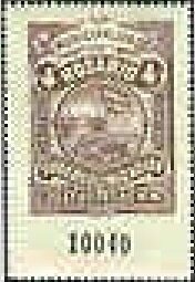 Breckland Thyme (Thymus serpyllum)