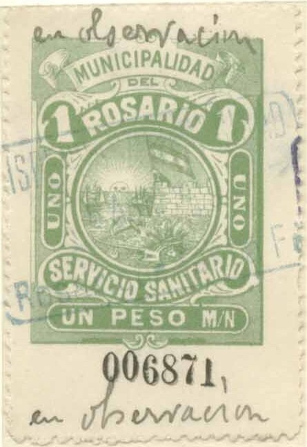 Notro Ciruelillo (Embothrium coccineum)