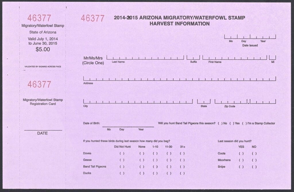 Fairy Tale Scene - Medieval Women