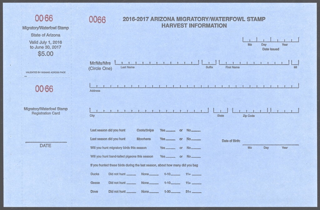 Armenian Castle, Amberd (X-XIII c.)