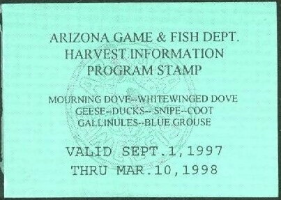 Shaggy Parasol (Macrolepioda rhacodes)