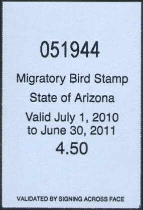 American wigeon (Anas americana)