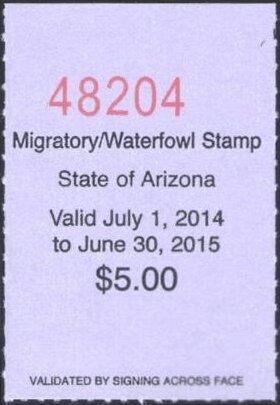 Peacock Pectoral, René Lalique (1860–1945), French Jeweler