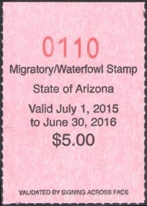 Zanahoria (carrot) - Daucus carota, surcharged