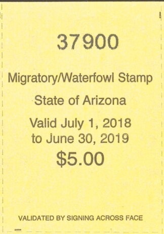 Woodland Tulip (Tulipa sylvestris)
