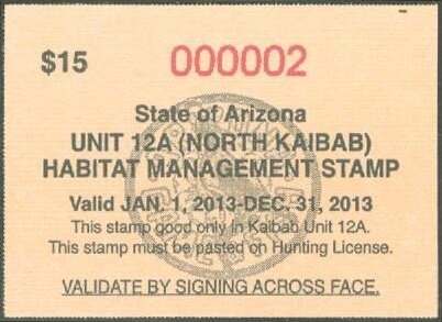 Andean Condor (Vultur gryphus)