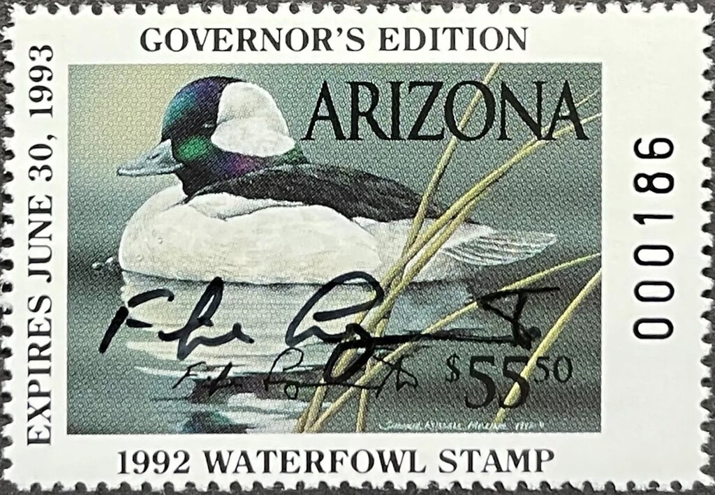 Selk'nam culture - Basket - Security mark down