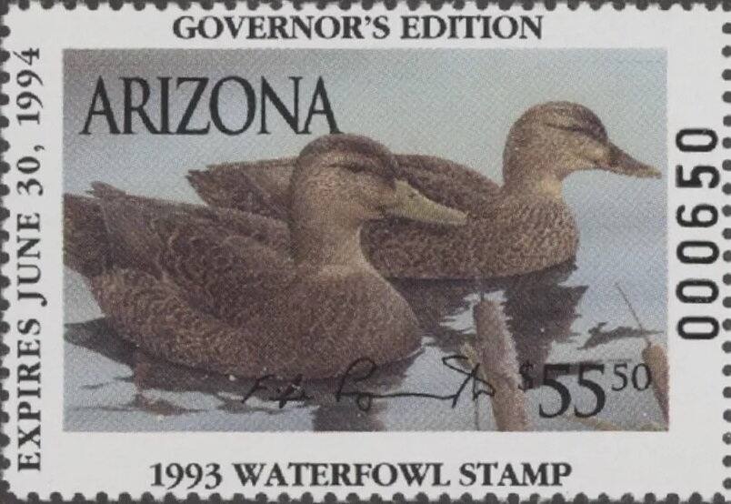 Shaggy Parasol (Macrolepioda rhacodes)