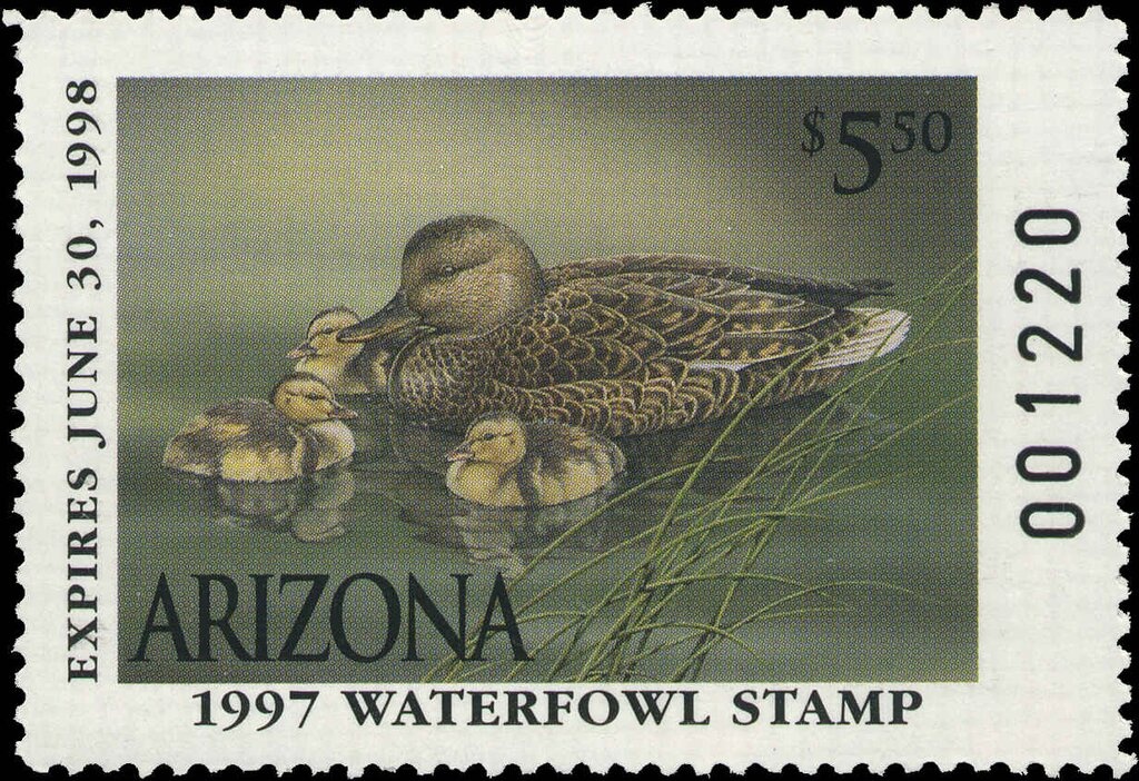 Giant Anteater (Myrmecophaga tridactyla)